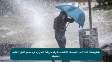 شائعات الشتاء.. الأرصاد تكشف حقيقة درجات الحرارة في مصر خلال الفترة المقبلة